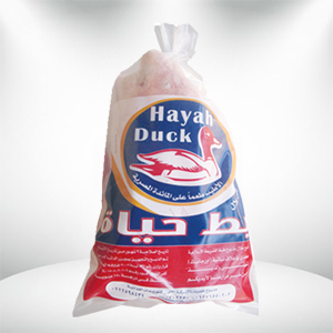 حياة بط مجمد