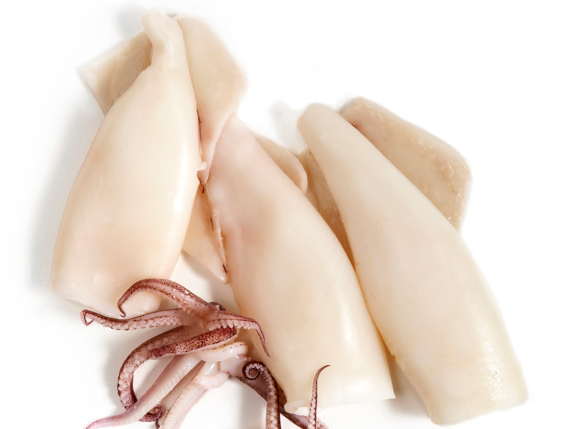 شركة الامل للتوريدات الغذائية